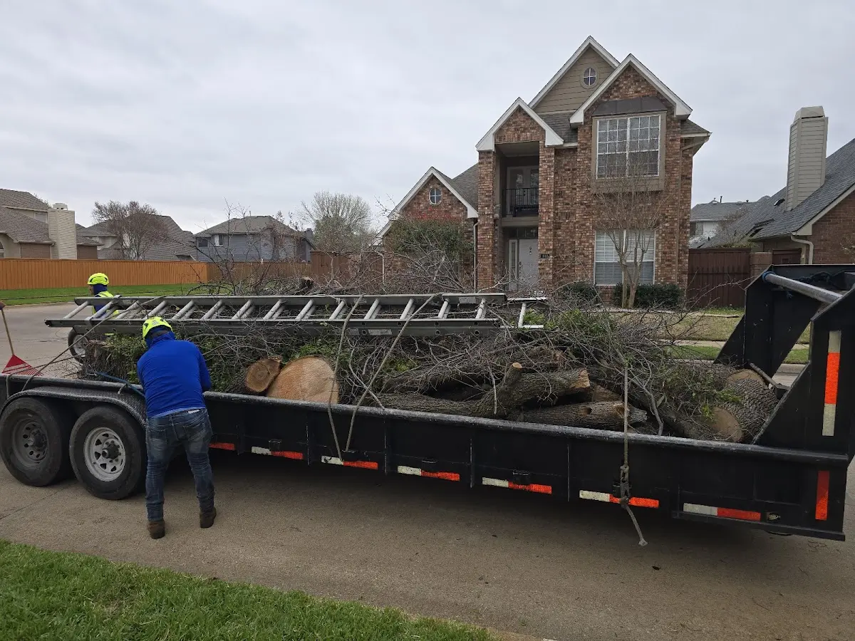 Expert Tree Removal with proper safety equipment in Neosho